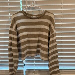 Zara Olive and White Knit Top
